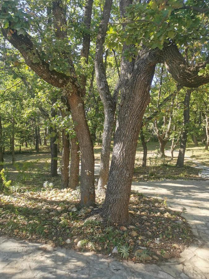 Appartamento La Grangette Velleron Esterno foto